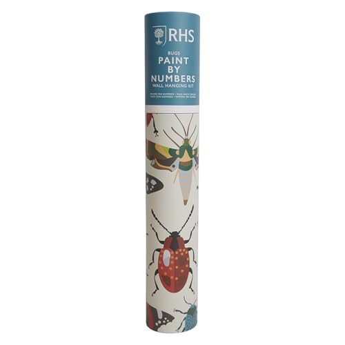 Pintura por números RHS de insectos para decorar tu salón con un cuadro hecho por ti