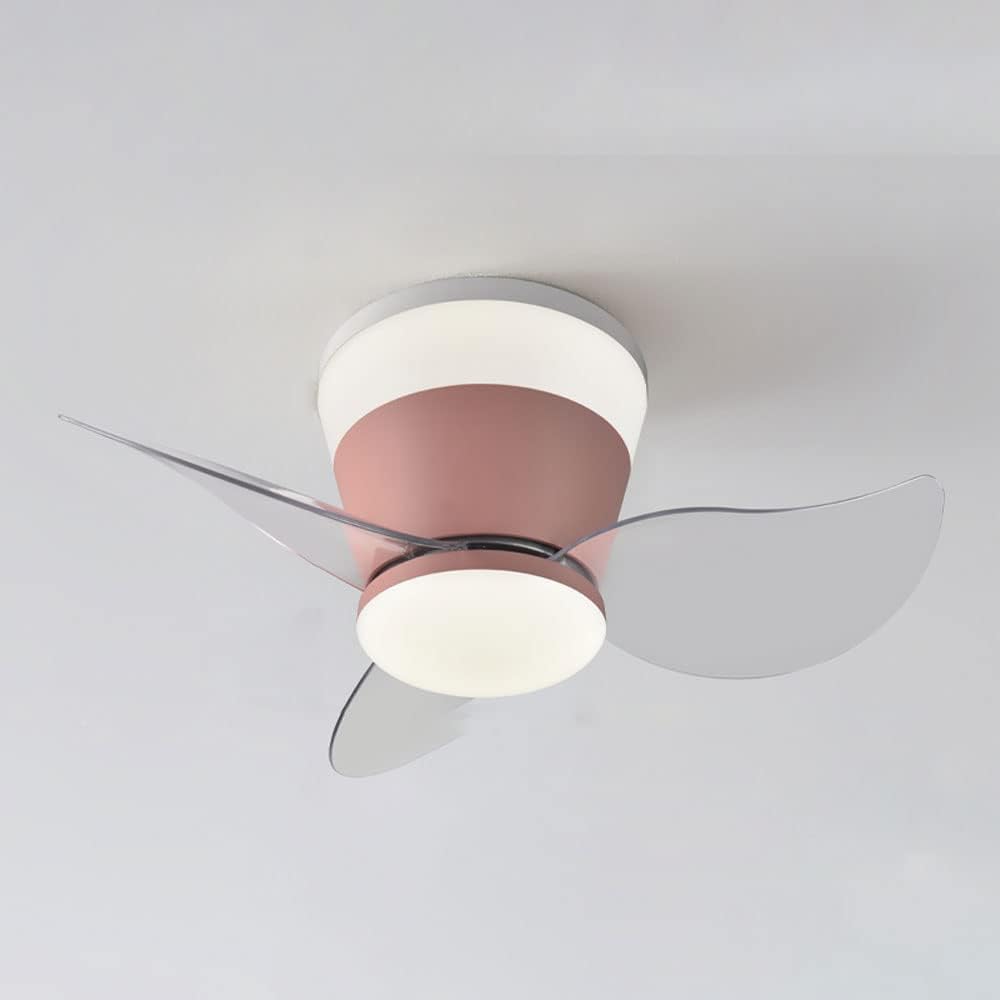 Modern Flush Mount Ceiling Fan with Lights 23 Inch Ceiling Fans with Lights and Remote LED Mute Low Profile Ceiling Fan with Light Outdoor Ceiling Fans Indoor Lighting for Patios with Light