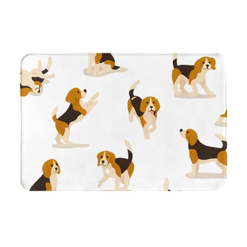 Vłr[O Aj`O~ yʍRۖhL~ oX[t[XQ[pbh 40x60cm