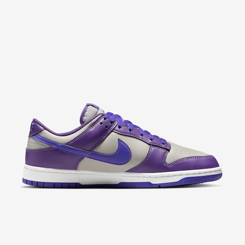 Nike Dunk Low Retro Men's Shoes (College Grey/Wild Grape/White/Persian Violet)3