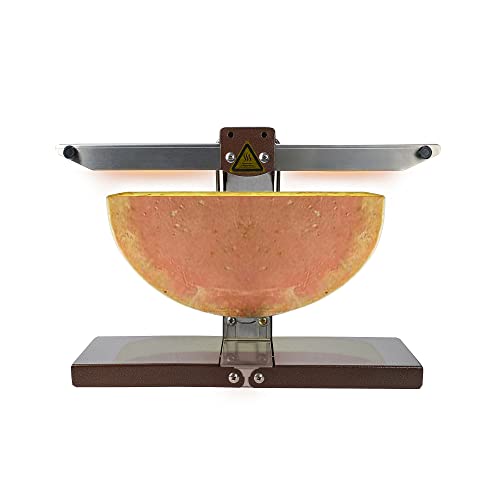 RENJJPBO 900W Electric Cheese Melter Machine, Commercial Cheese Melting Machine, Cheese Grill Heater