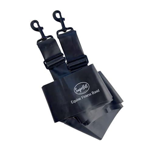 Sage Hill Mercantile New & Updated! Equine Fitness Band for Horses | Lunging Band | Fully Adjustable | English and Western | Clips to Saddle or Surcingle | Encourages Hind End and Topline Development