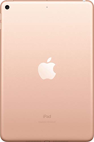 Amazon.com : Apple iPad Mini, 5th Generation (Wi-Fi, 64GB) - Gold  