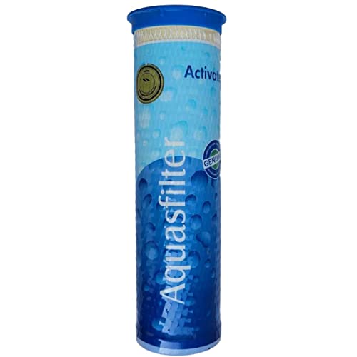 APEC Aqua Classic Compact Dual Activated Carbon Block Dual Filter Catridge for AG Compact Water Purifier Model (Pack of 1)