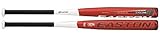 Easton Cyclone Softball Slowpitch Bat SP8 - SLOW15B S200 - 33