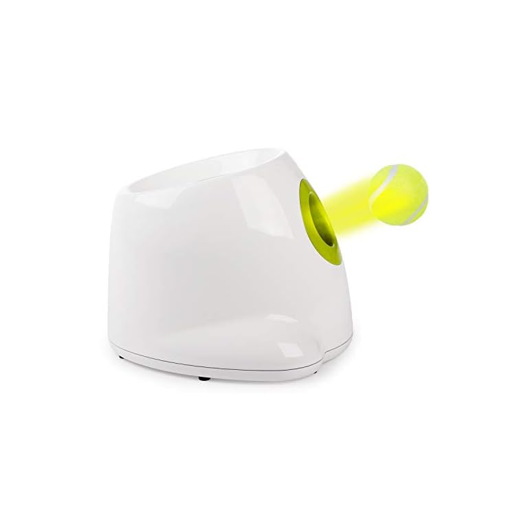 Ball Throwing Machine for Dog Training Buy Online