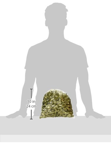 Seattle Chocolates Bulk Truffles, Champagne, 5-Pound