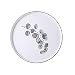 SPXMX Plato Plato Ensalada De Frutas Plato Hueso China Plato De Desayuno