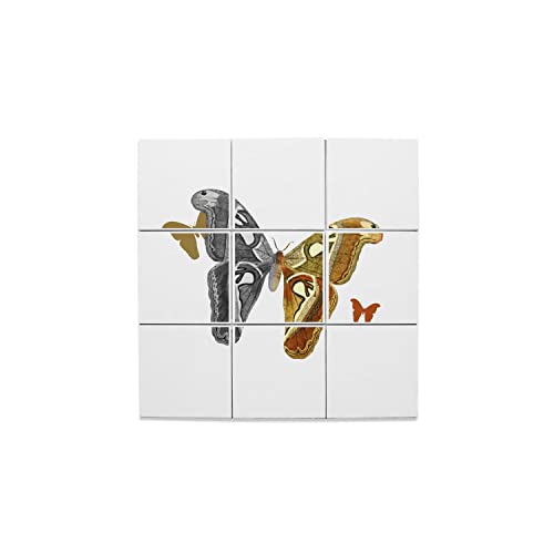 Carreaux céramique décoratif papillon style ancien 32x32 cm pour mur