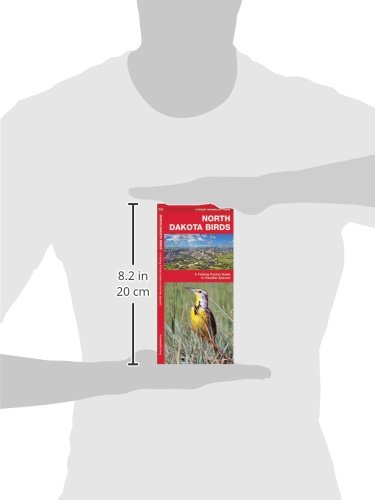 Waterford Press 9781583552230 North Dakota Birds: A Folding Pocket Guide To Familiar Species  thumb #3