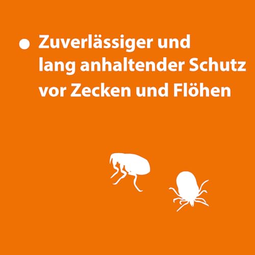 ARDAP Spot On - Zecken & Milbenschutz für Ziervögel & Brieftauben - Natürlicher Wirkstoff - Bis zu 12 Wochen nachhaltiger Langzeitschutz (PT19)