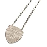 Arsenal FC Stainless Steel Pendant And Chain (One Size) (Silver)