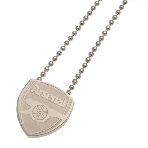 Arsenal FC Stainless Steel Pendant And Chain (One Size) (Silver)