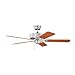 Kichler 330100WH Renew ES 50-Inch Renew Fan, White