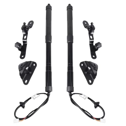 Moteur de levage de hayon arrière pour simplifier le chargement du RAV4