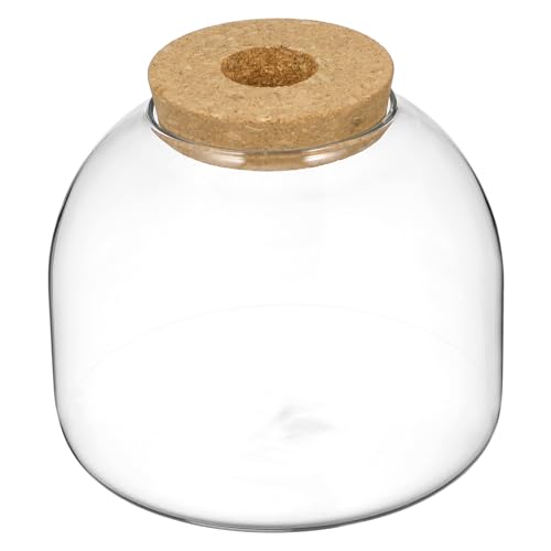 BUGUUYO Adornos De Botellas Ecológicas Recipiente con Tapa Tarro De Terrario con Tapa Tarro De Planta De Aire Contenedor del Ecosistema Botellas De Terrario Artificial Transparent Vidrio