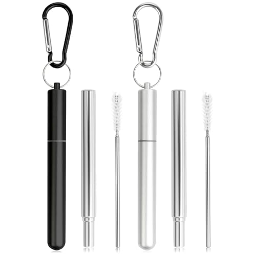 Foweroty Collapsible Metal Straws 2-Pack with Case & Brushes
