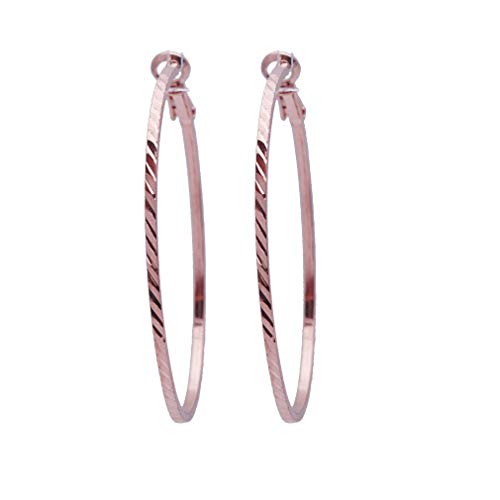 Boucles d'oreilles créoles rondes en acier inoxydable doré 18k