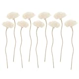 FELTECHELECTR 9 Stück Teiliges Aromatherapie Rattanstäbchen aus Natürlichem für Ätherische Öle...