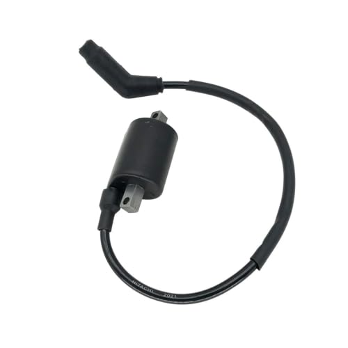 Bobine d'allumage EFI pour Linhai 260 300 400 500 Quad UTV pièce 22012