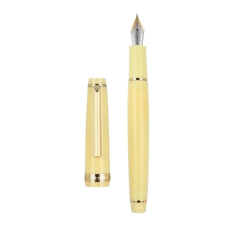Stylo-plume transparent anti-panne d'encre, plume M grise pour l'écriture