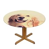 Matériau : nos jolies nappes rondes S à motif Golden Dog sont fabriquées en tissu polyester avec une impression sur toute la largeur d'un seul côté. Ils sont élastiques et protègent votre table de salle à manger des rayures et des taches.
