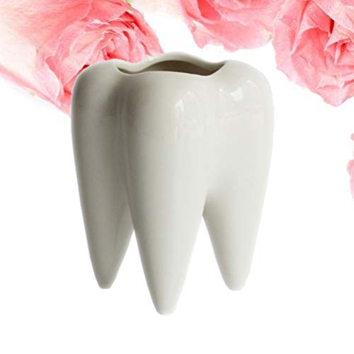 Yardwe – Vaso de cerâmica para decoração prática e exclusiva em forma de dente para decoração de cas