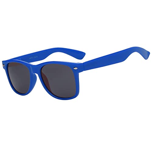Image of OWL Retro Style Sunglasses 80's Classic Vintage Unisex Nerd Colored Frame