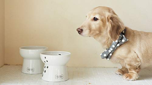 Necoichi DC-0741 Raised Dog Food Bowl thumb #6