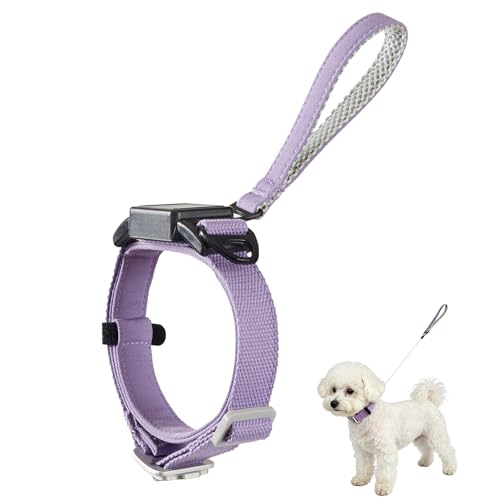 Retractable Dog Leash Collar for Small Medium Dogs - Chew Resistant Kevlar Rope, 4FT Silent...