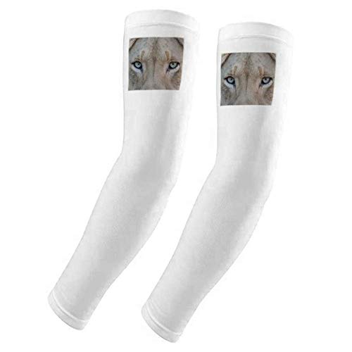 Manchons protection UV bras animaux sauvages lion blanc outdoor