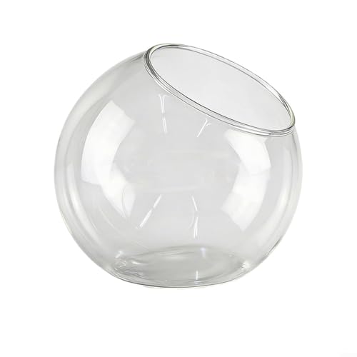 BlesConi Vase terrarium élégant à ouverture ouverte - Doublure en verre borosilicate transparent pour plantes grasses d'intérieur (15 cm)