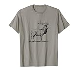 HEJAshirts