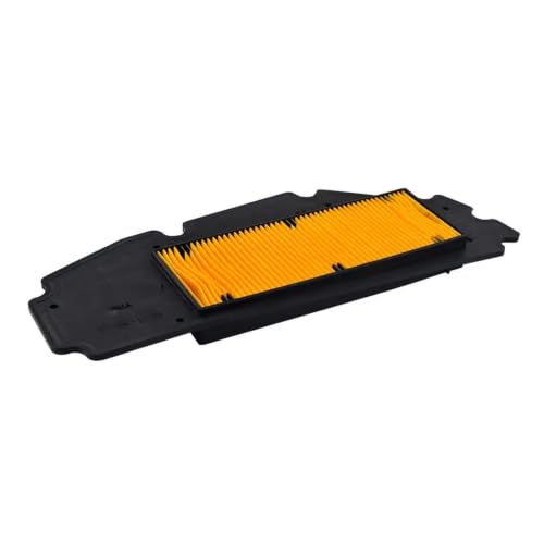 Filtre à air haute filtration pour CRUISYM300i et RV250