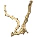 Zoo Med Sandblasted Grapevine, Medium, 12-Inch