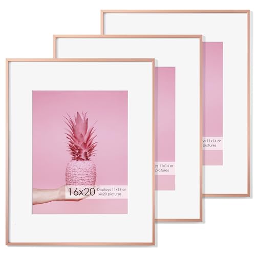 16x20 Metal Picture Frame with 11x14 Mat, Brushed Aluminum Finish, Tempered Glass Front, and Attached Hanging Hardware - Versatile Wall Display Frames for Vertical or Horizontal Orientation(Gold, Pack