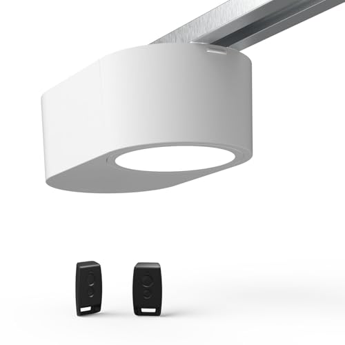 Somfy 1246360 - Pack de Motorisation pour porte de garage