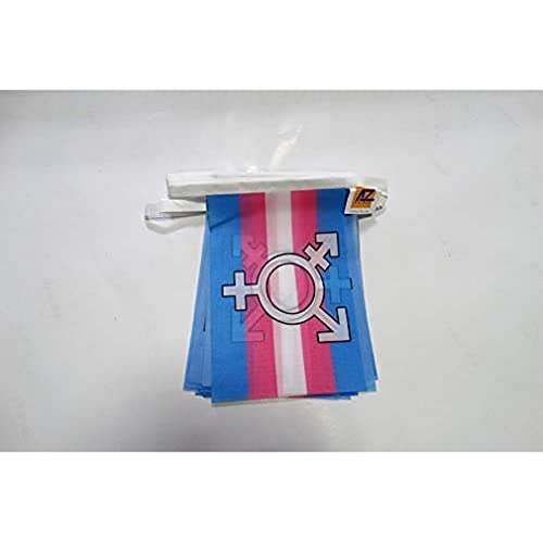 Image of AZ FLAG Transgender Symbol 6 meters BUNTING Flag 20 flags 9'' x 6'' - Rainbow STRING flags 15 x 21 cm