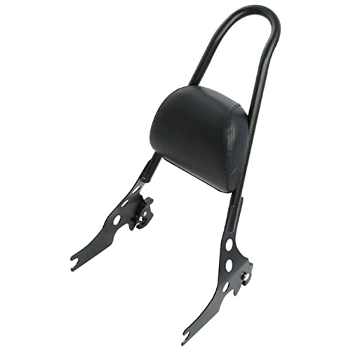 I[goCO\ȃV[V[o[wI[goCANZT[ɓKXR1200X XR1200X 2011-2012