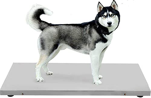 Spritool 1000lb(500 KG *0.1kg) Stainless Steel Platform Large Platform 103 CM Postal Digital Shipping Scale Livestock Pet Animal Dog Cat Scale with Both Plug and Battery