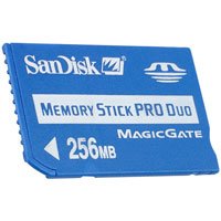 Amazon.com: SanDisk 256 MB MemoryStick Pro Duo ( SDMSPD-256-A10
