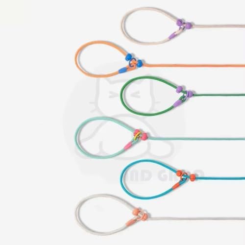 Pet Leash
