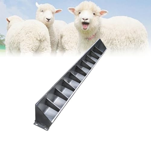 Mangeoire agricole robuste pour porcs moutons bovins auge 10 postes
