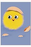 chicken little jae hyung  Little chicken scrapbook  notebook  organizer  love animals