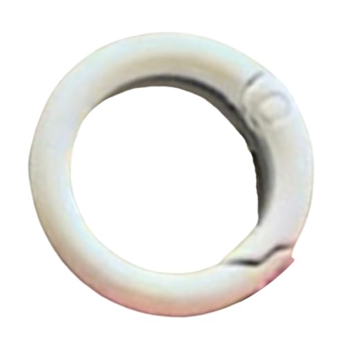 X^[y_gobO`[ȉƂ̃obNpbNANAN`[obNpbNMtg