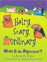 Hairy, Scary, Ordinary: What Is an Adjective? by Brian P. Cleary, Jenya Prosmitsky (Illustrator) B004IGXHBG Book Cover