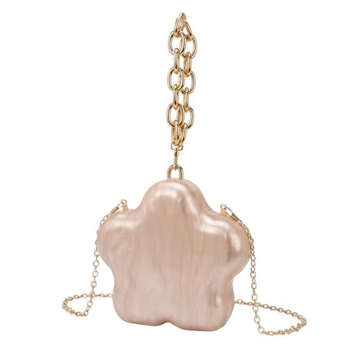 Sac à bandoulière en acrylique rigide pochette de soirée femme tendance