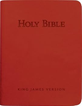 Paperback Holy Bible, red Vivella® Book