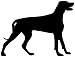 Samunshi® Weimaraner Hunde Aufkleber Autoaufkleber Sticker in 6 Größen und 25 Farben (15x11,3cm schwarz)