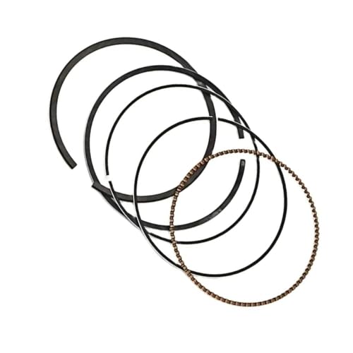 Anillos de pistón contra la pérdida de compresión en BRP 650 800